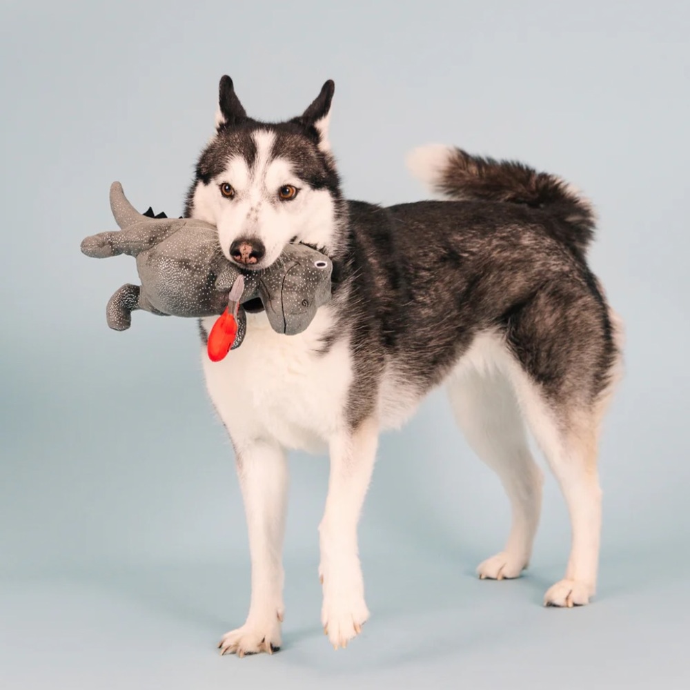 π HP π π Fringe Studio Rocker Rex Dog Toy - Picture 13 of 13